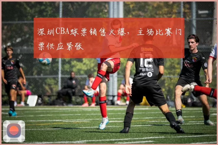 深圳CBA球票销售火爆,主场比赛门票供应紧张