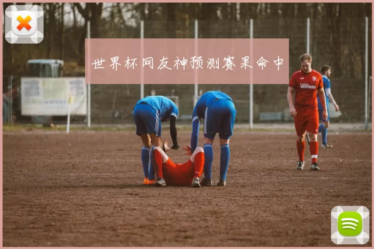 世界杯网友神预测赛果命中