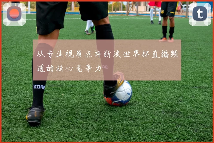 从专业视角点评新浪世界杯直播频道的核心竞争力