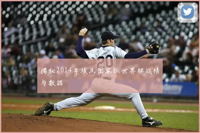 揭秘2014年埃及国家队世界杯战绩与数据