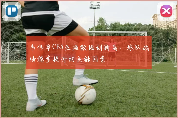 韦伟华CBA生涯数据创新高，球队战绩稳步提升的关键因素