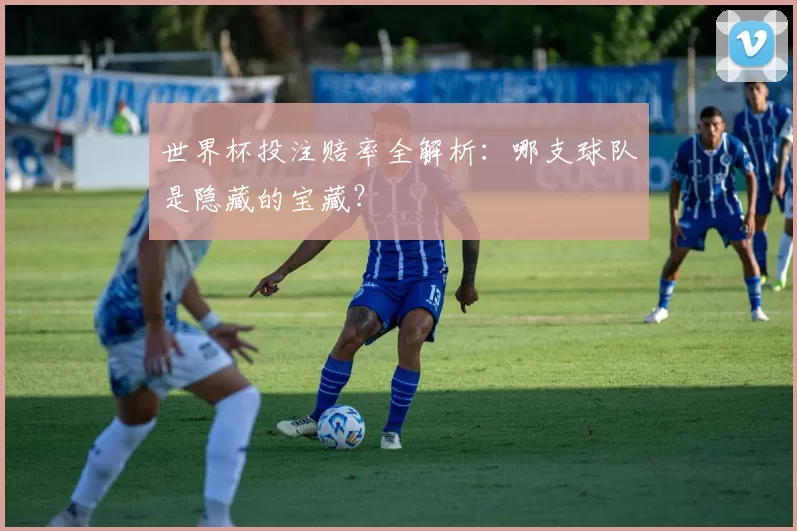 世界杯投注赔率全解析:哪支球队是隐藏的宝藏?