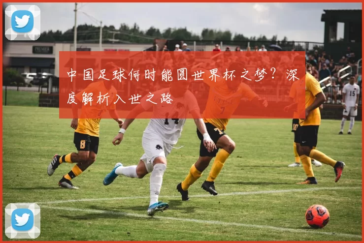 中国足球何时能圆世界杯之梦?深度解析入世之路