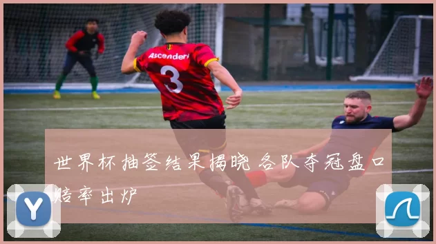 世界杯抽签结果揭晓 各队夺冠盘口赔率出炉
