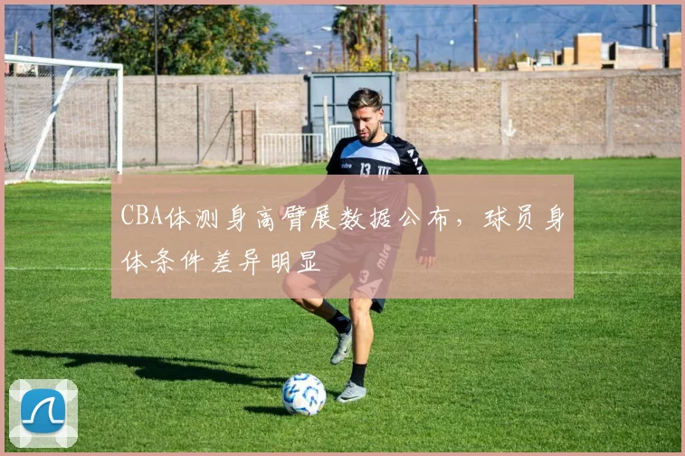 CBA体测身高臂展数据公布，球员身体条件差异明显